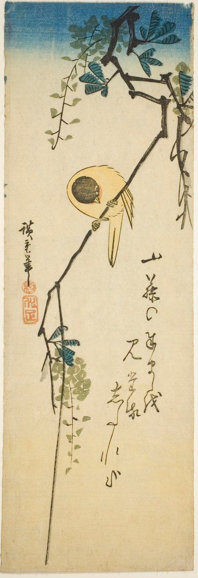 絹のような藤の鳥 作： Utagawa Hiroshige