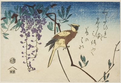 コウライウグイスとフジ 作： Utagawa Hiroshige