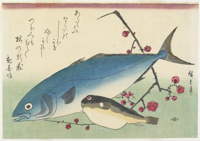 カツオ、フグと開花梅のスプレー、c。 1840 作： Utagawa Hiroshige