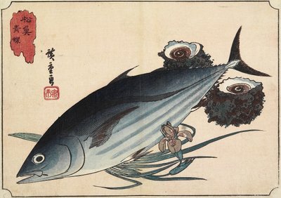 ボニートとトップシェル、19世紀初頭 作： Utagawa Hiroshige