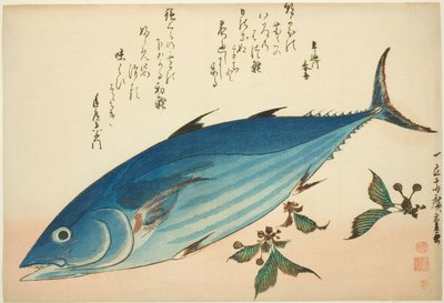 無題の魚のシリーズからのカツオとユキノシタ 作： Utagawa Hiroshige