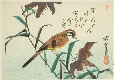 ホオジロとユリ 作： Utagawa Hiroshige