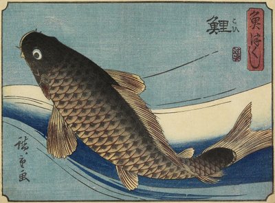 コイ、1830-1844 作： Utagawa Hiroshige