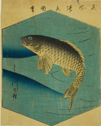 利根川の鯉 (とねがわのこい) 連載「江戸名所はりまぜずえ」の一部 作： Utagawa Hiroshige