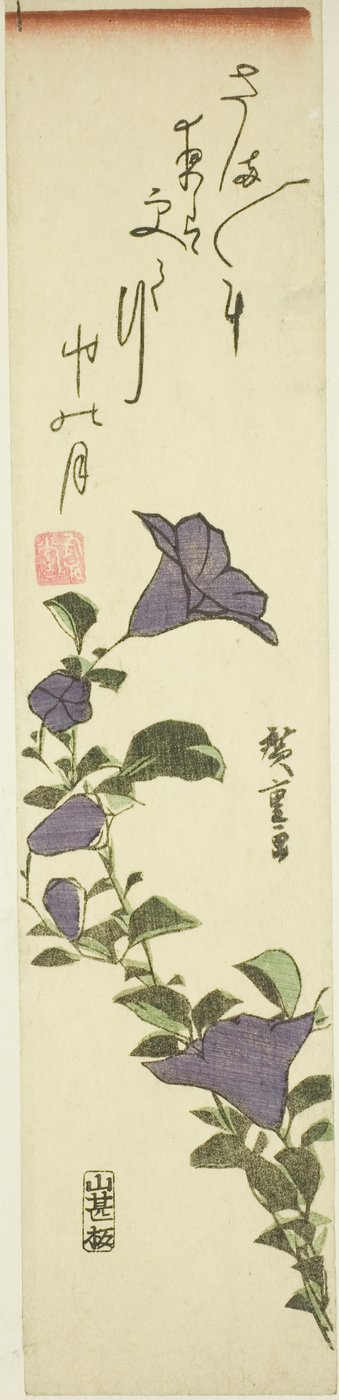 中国の鐘の花 作： Utagawa Hiroshige