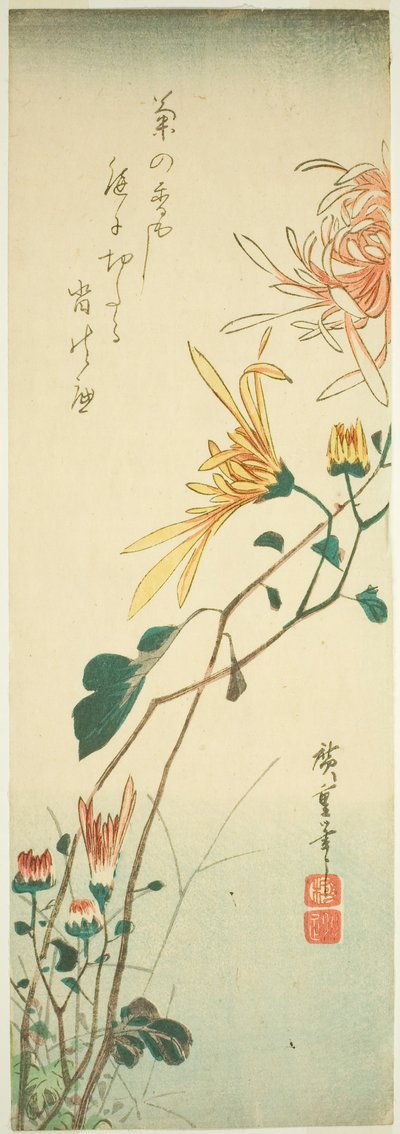 菊 作： Utagawa Hiroshige