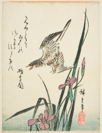 アイリスの上を飛ぶカッコウ 作： Utagawa Hiroshige