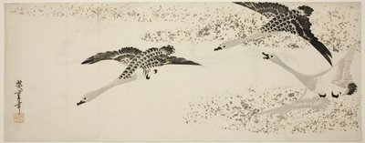 下降するガチョウ 作： Utagawa Hiroshige