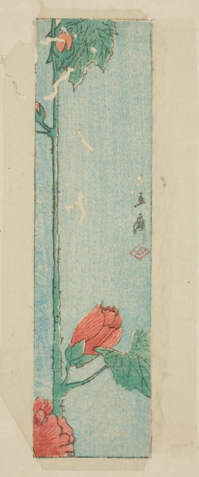 ハイビスカス入り封筒 作： Utagawa Hiroshige