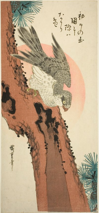 旭日松の隼 作： Utagawa Hiroshige