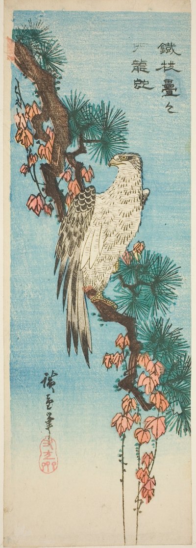ツタに覆われた松の枝の鷹 作： Utagawa Hiroshige