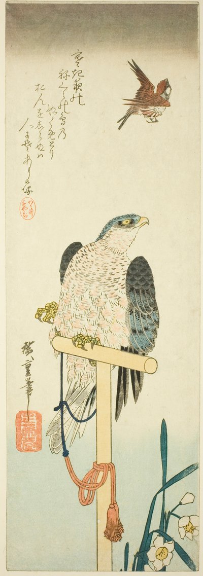 ハヤブサ、スズメ、水仙 作： Utagawa Hiroshige