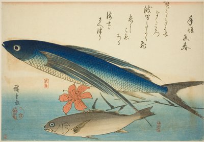 トビウオとイチモチ 無題魚シリーズより 作： Utagawa Hiroshige