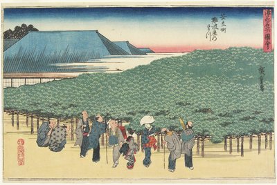 Giant Pine of Naniwaya in Anryu_-machi, c. 1834 作： Utagawa Hiroshige