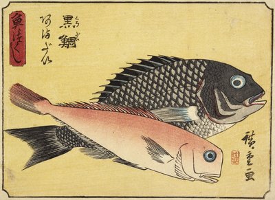 Gilthead and Tilefish、1830-1844 作： Utagawa Hiroshige