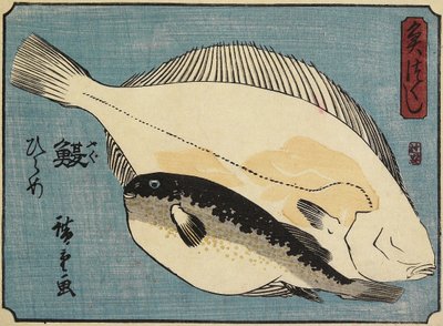 ふぐとヒラメ、1830-1844 作： Utagawa Hiroshige