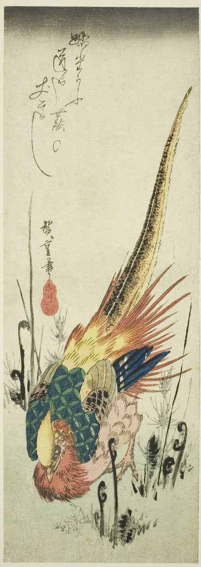 金雉とワラビ 作： Utagawa Hiroshige