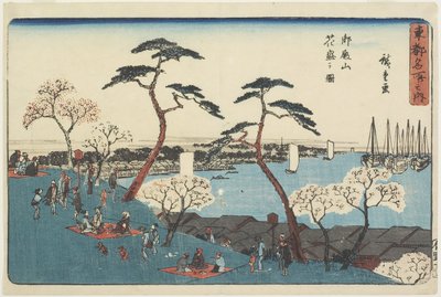 ブルームの御殿山丘陵、1830-1844 作： Utagawa Hiroshige
