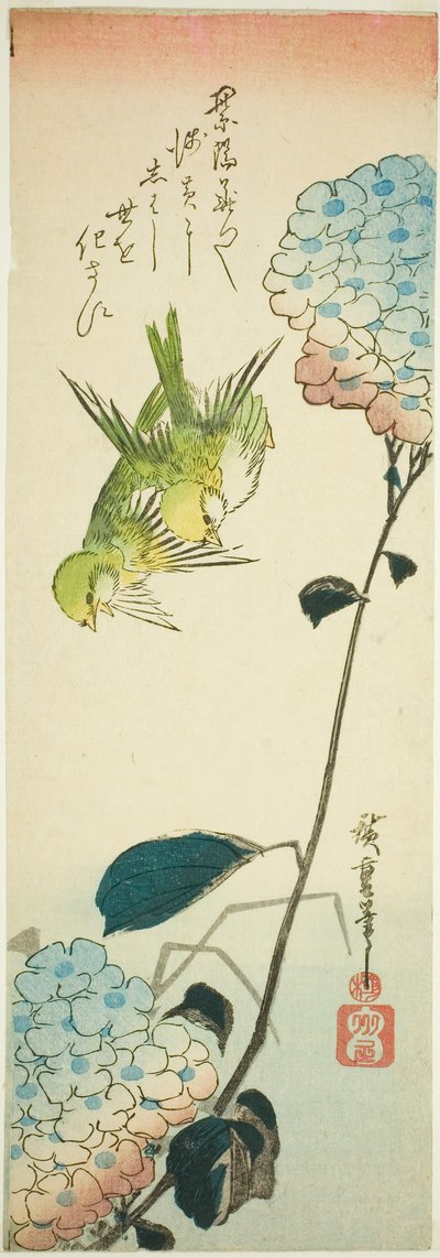 緑の鳥とアジサイ 作： Utagawa Hiroshige