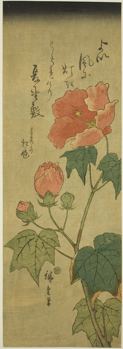 ハイビスカス 作： Utagawa Hiroshige