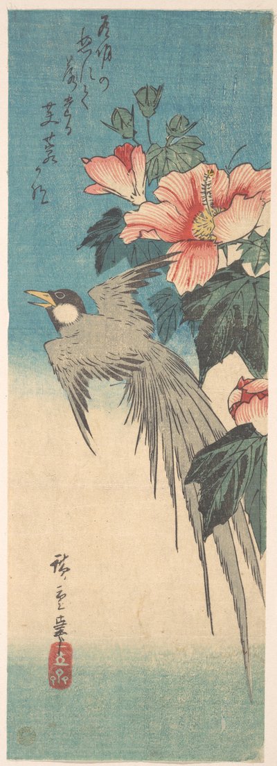 Hibiscus Mutabilis und Langschwanzvogel 作： 歌川広重