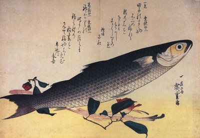 広重 灰色ボラと椿 作： Utagawa Hiroshige