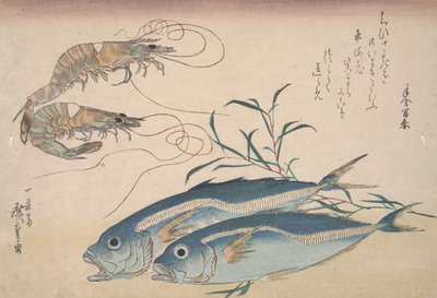 アジ、淡水エビ、海藻、1832年頃 作： Utagawa Hiroshige