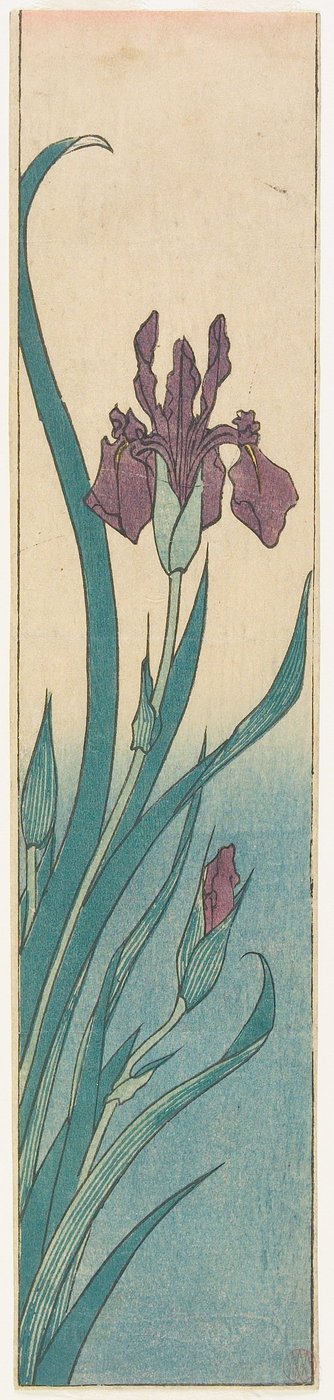 Iris 作： 歌川広重
