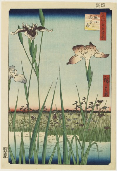 Iris Garden at Horikiri, May 1857 作： Utagawa Hiroshige