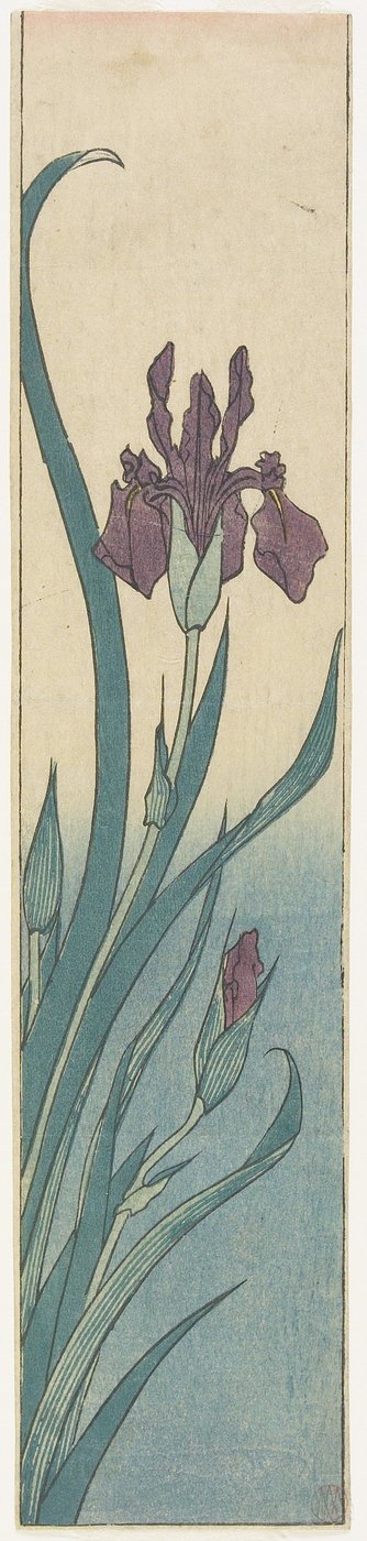 アイリス、19世紀初頭 作： Utagawa Hiroshige