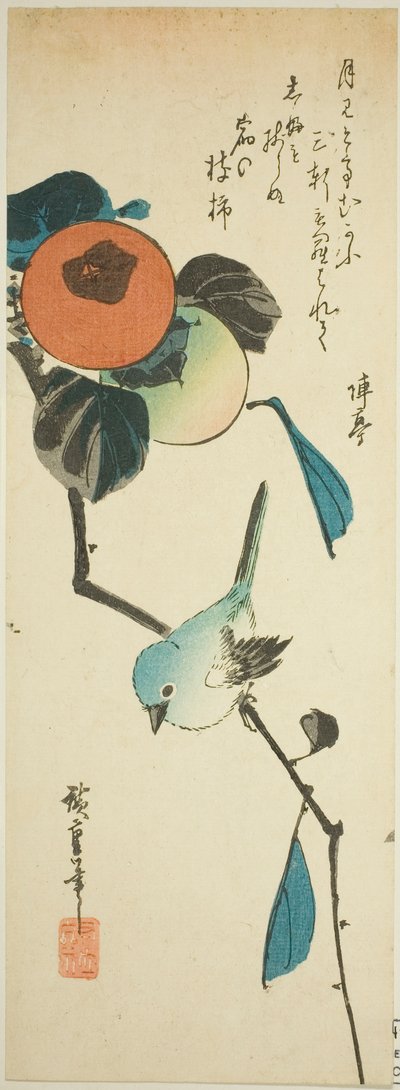 メジロと柿 作： Utagawa Hiroshige