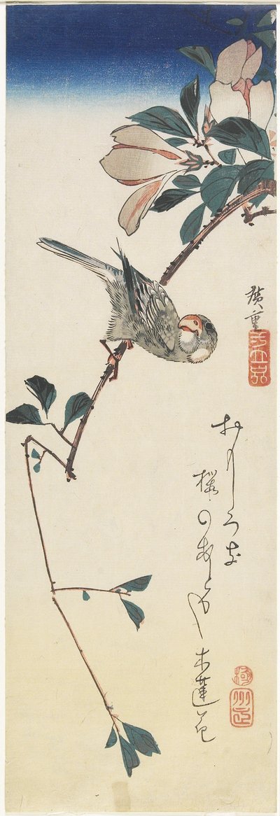 Java Sparrow and Magnolia、1834-1839 作： Utagawa Hiroshige