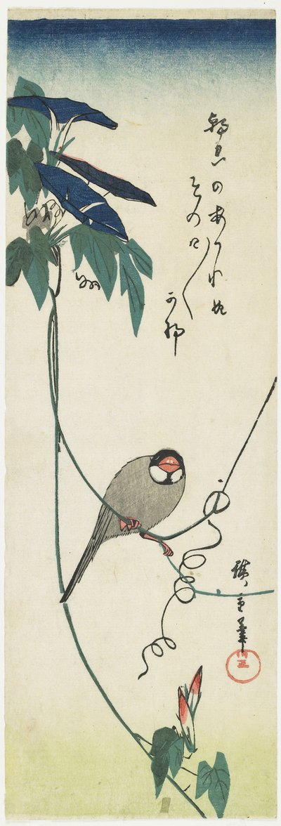 Java Sparrow and Morning Glories、1834-1839 作： Utagawa Hiroshige