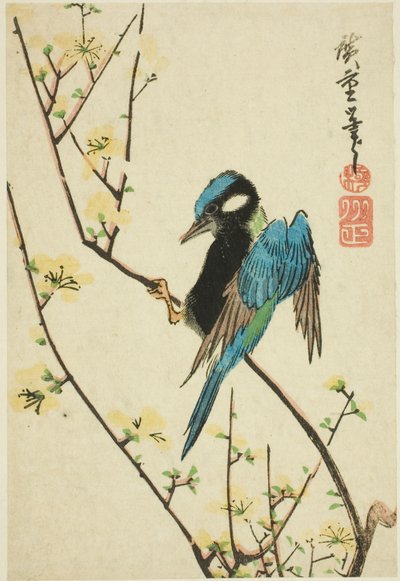 桜の枝に文鳥 作： Utagawa Hiroshige