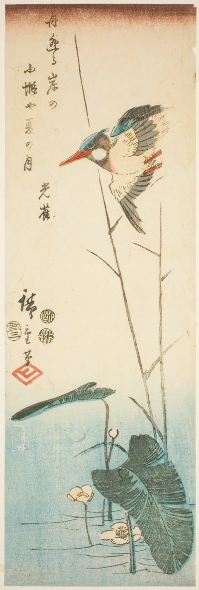 黄色い花の水生植物の上のカワセミ 作： Utagawa Hiroshige