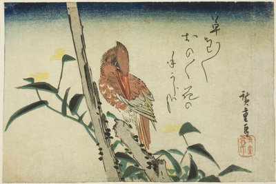 カワセミとツユクサ 作： Utagawa Hiroshige