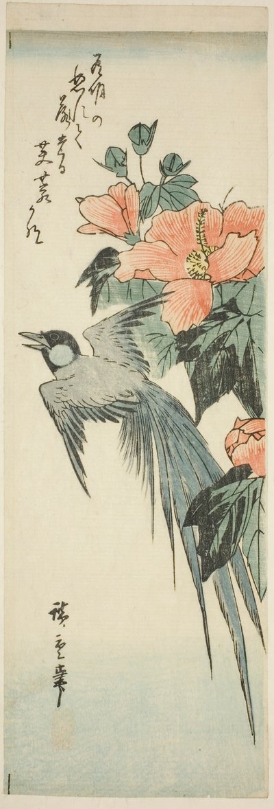 尾長鳥とハイビスカス 作： Utagawa Hiroshige
