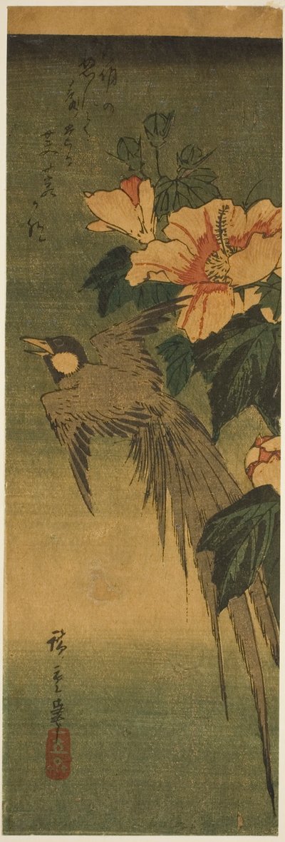 尾長鳥とハイビスカス 作： Utagawa Hiroshige