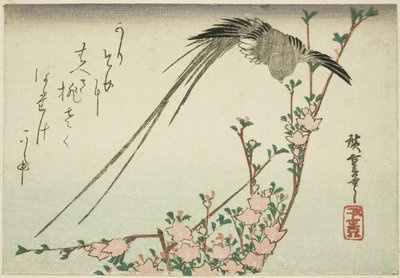 長尾鳥と桃の花 作： Utagawa Hiroshige