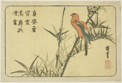 コンゴウインコと竹 作： Utagawa Hiroshige