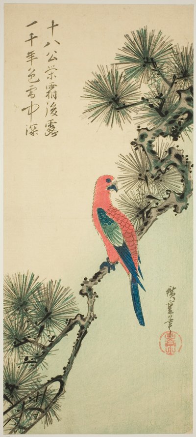 松の枝にコンゴウインコ 作： Utagawa Hiroshige