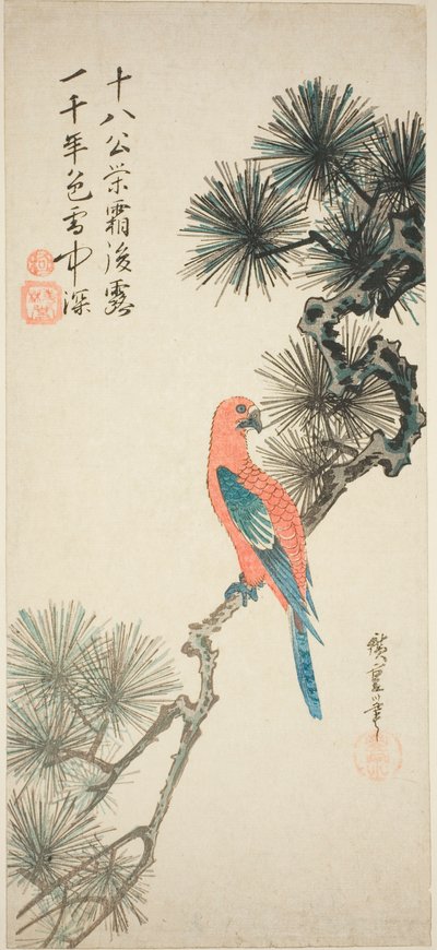 松の枝にコンゴウインコ 作： Utagawa Hiroshige