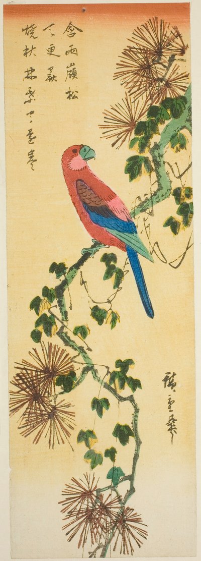 ツタに覆われた松の枝の上のコンゴウインコ 作： Utagawa Hiroshige