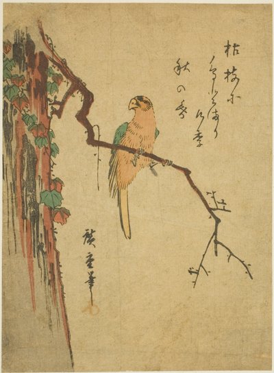 ツタに覆われた木のコンゴウインコ 作： Utagawa Hiroshige