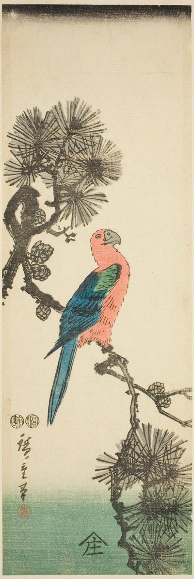 松の枝にコンゴウインコ 作： Utagawa Hiroshige