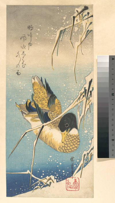 Stockente und schneebedeckte Schilfrohre 作： 歌川広重