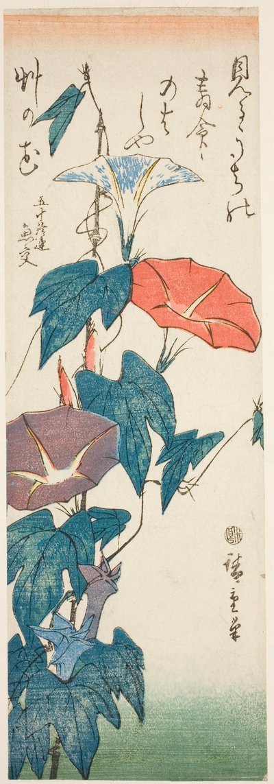 朝顔 作： Utagawa Hiroshige
