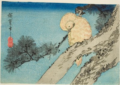 松の枝にフクロウ 作： Utagawa Hiroshige