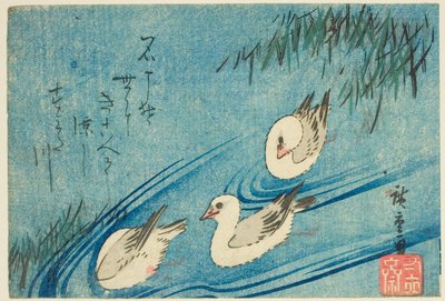 ミヤコドリ 作： Utagawa Hiroshige