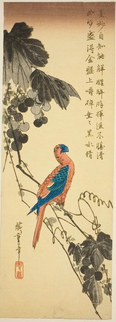 ブドウのつるのオウム 作： Utagawa Hiroshige